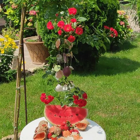 Pensjonat Dom Zaharievi