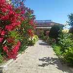 Dom Zaharievi *