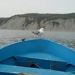 Penzion Dom Zaharievi *