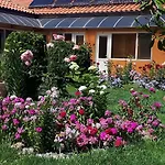 Penzion Dom Zaharievi Bjala