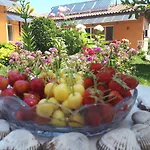 Dom Zaharievi Penzion Bjala