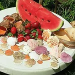 Penzion Dom Zaharievi Bjala