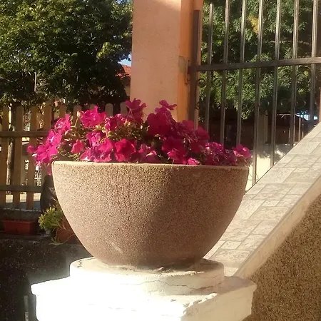 Dom Zaharievi